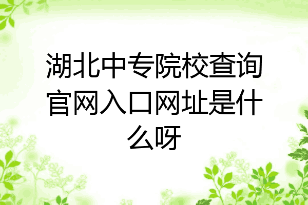 湖北中专院校查询官网入口网址是什么呀