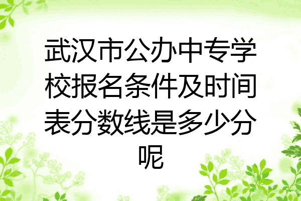 武汉市公办中专学校报名条件及时间表分数线是多少分呢