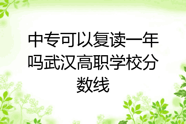 中专可以复读一年吗武汉高职学校分数线