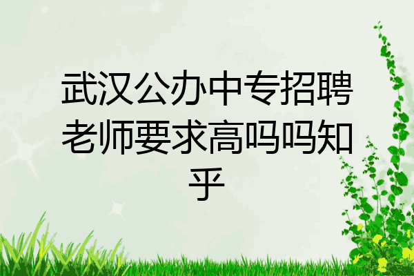 武汉公办中专招聘老师要求高吗吗知乎