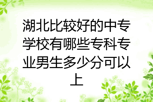 湖北比较好的中专学校有哪些专科专业男生多少分可以上