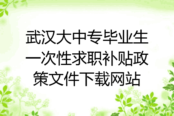 武汉大中专毕业生一次性求职补贴政策文件下载网站
