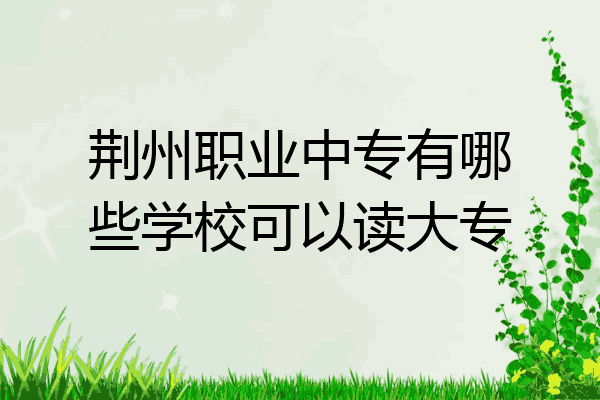 荆州职业中专有哪些学校可以读大专