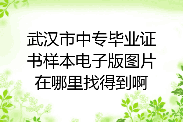 武汉市中专毕业证书样本电子版图片在哪里找得到啊