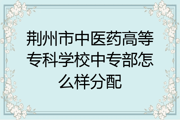 荆州市中医药高等专科学校中专部怎么样分配