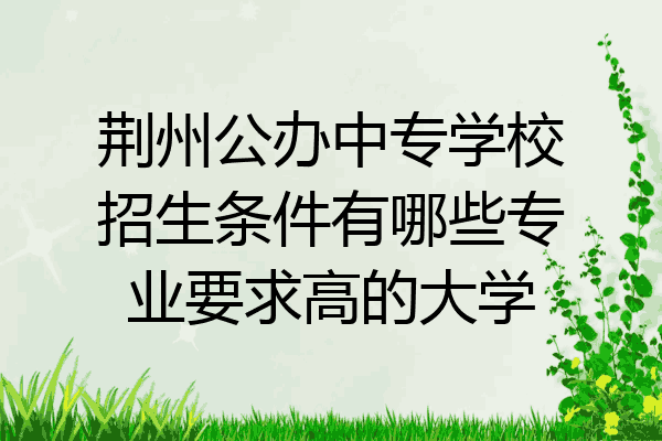 荆州公办中专学校招生条件有哪些专业要求高的大学