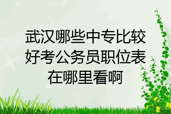 武汉哪些中专比较好考公务员职位表在哪里看啊
