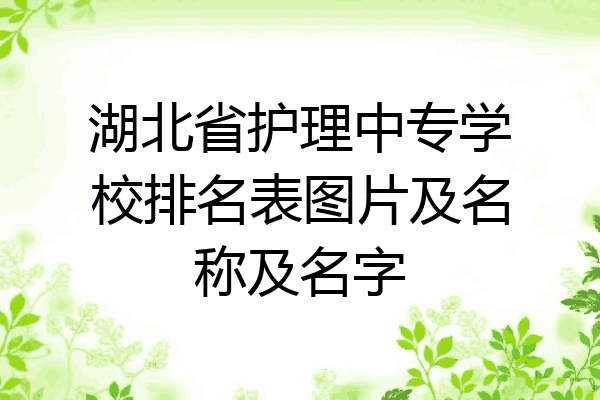 湖北省护理中专学校排名表图片及名称及名字