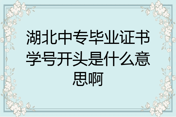湖北中专毕业证书学号开头是什么意思啊