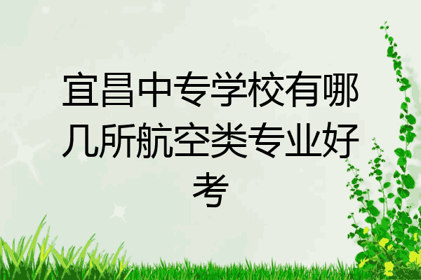 宜昌中专学校有哪几所航空类专业好考