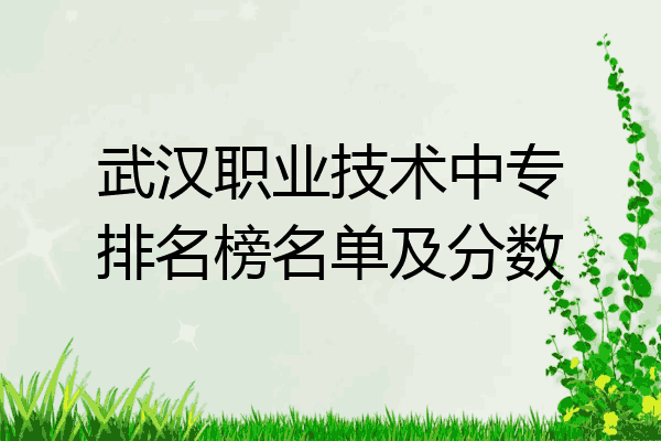 武汉职业技术中专排名榜名单及分数