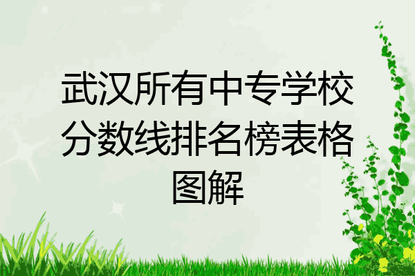 武汉所有中专学校分数线排名榜表格图解