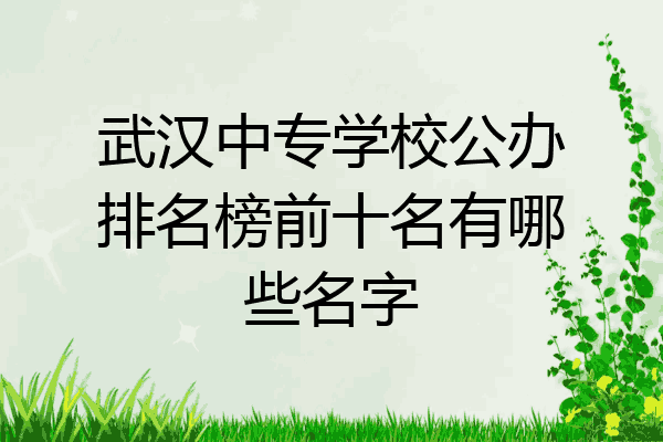 武汉中专学校公办排名榜前十名有哪些名字