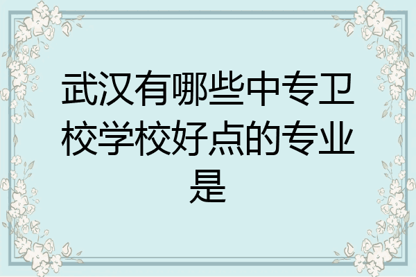 武汉有哪些中专卫校学校好点的专业是