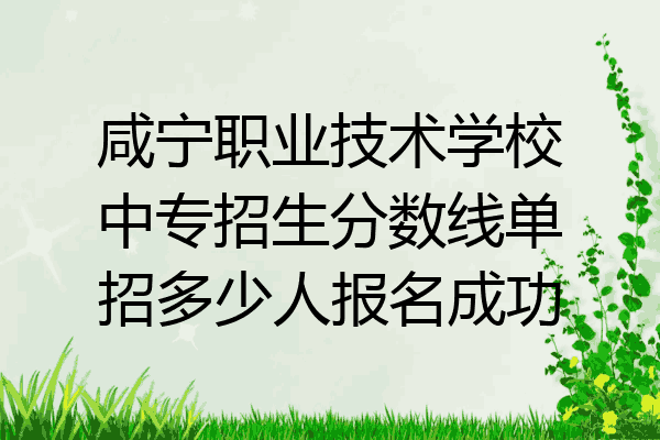 咸宁职业技术学校中专招生分数线单招多少人报名成功