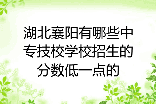 湖北襄阳有哪些中专技校学校招生的分数低一点的
