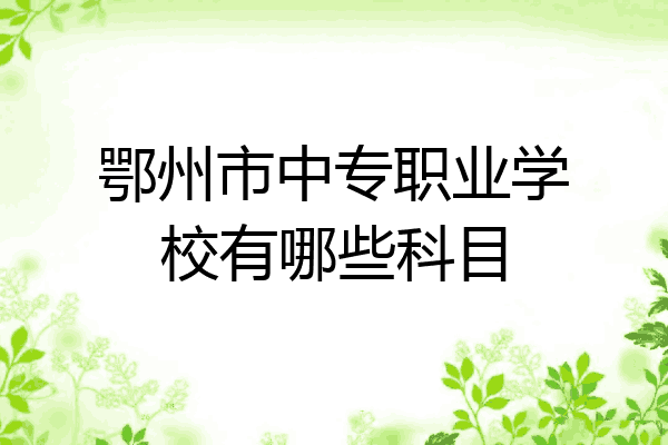 鄂州市中专职业学校有哪些科目