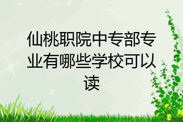 仙桃职院中专部专业有哪些学校可以读