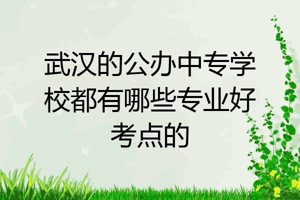武汉的公办中专学校都有哪些专业好考点的