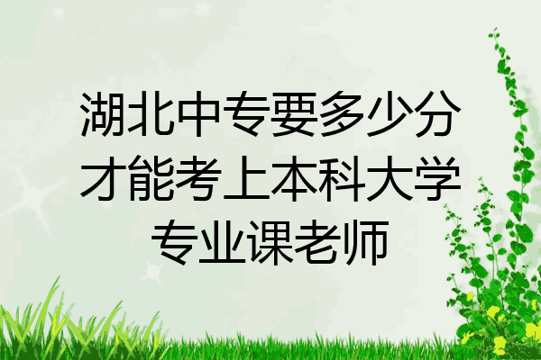 湖北中专要多少分才能考上本科大学专业课老师