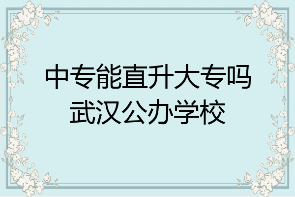 中专能直升大专吗武汉公办学校