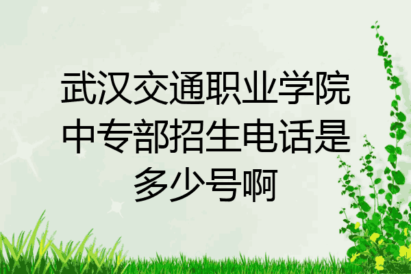 武汉交通职业学院中专部招生电话是多少号啊