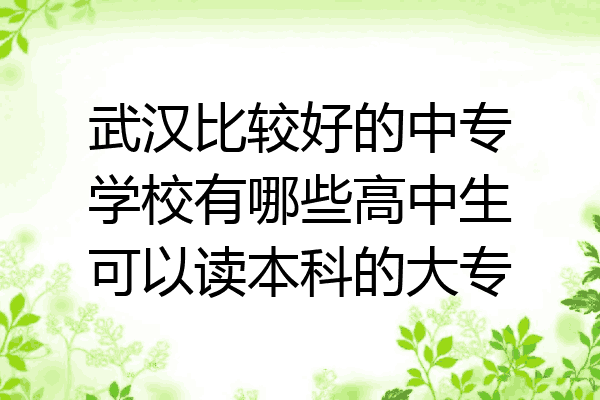武汉比较好的中专学校有哪些高中生可以读本科的大专