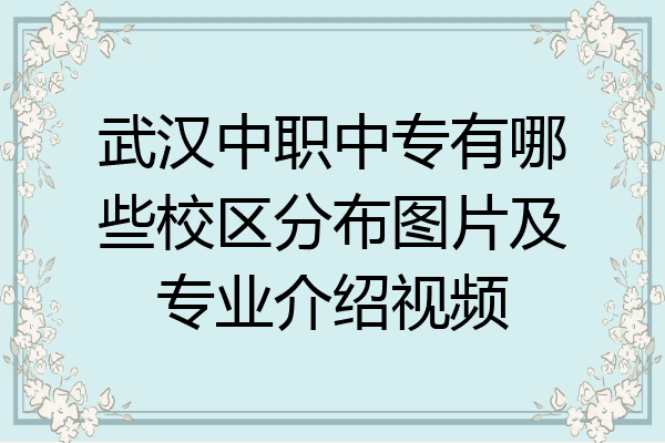 武汉中职中专有哪些校区分布图片及专业介绍视频