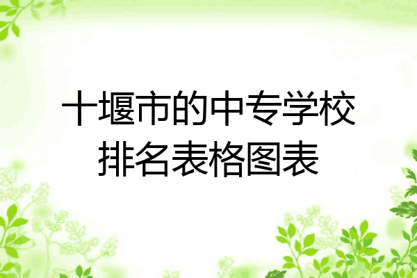 十堰市的中专学校排名表格图表