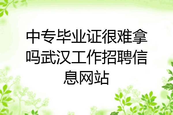 中专毕业证很难拿吗武汉工作招聘信息网站
