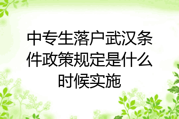中专生落户武汉条件政策规定是什么时候实施