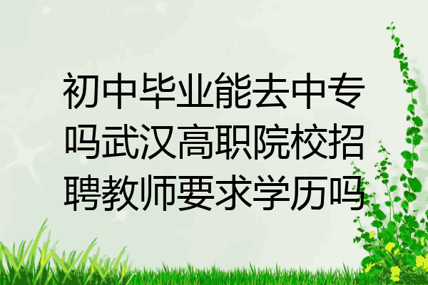 初中毕业能去中专吗武汉高职院校招聘教师要求学历吗