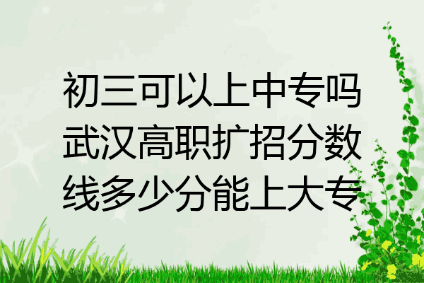 初三可以上中专吗武汉高职扩招分数线多少分能上大专