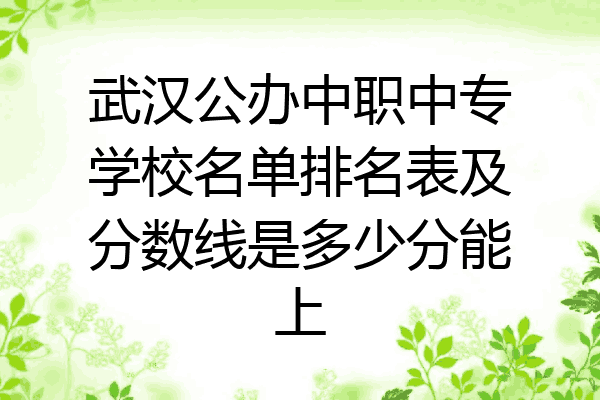 武汉公办中职中专学校名单排名表及分数线是多少分能上