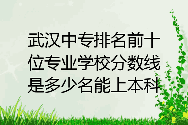 武汉中专排名前十位专业学校分数线是多少名能上本科