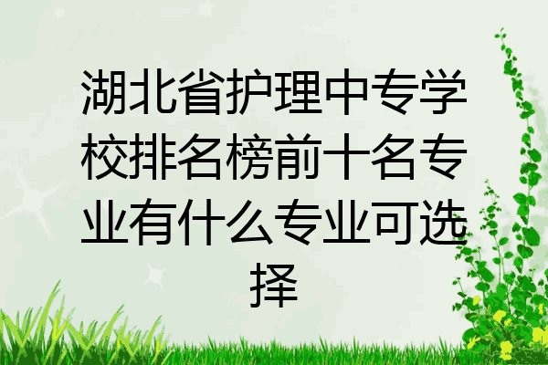 湖北省护理中专学校排名榜前十名专业有什么专业可选择