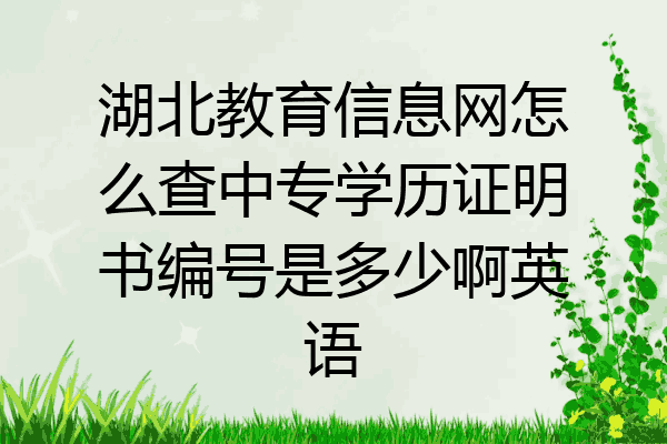 湖北教育信息网怎么查中专学历证明书编号是多少啊英语