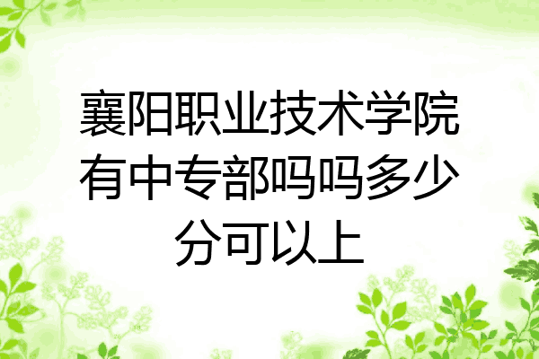 襄阳职业技术学院有中专部吗吗多少分可以上