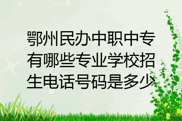 鄂州民办中职中专有哪些专业学校招生电话号码是多少
