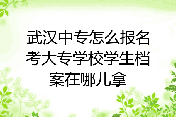 武汉中专怎么报名考大专学校学生档案在哪儿拿