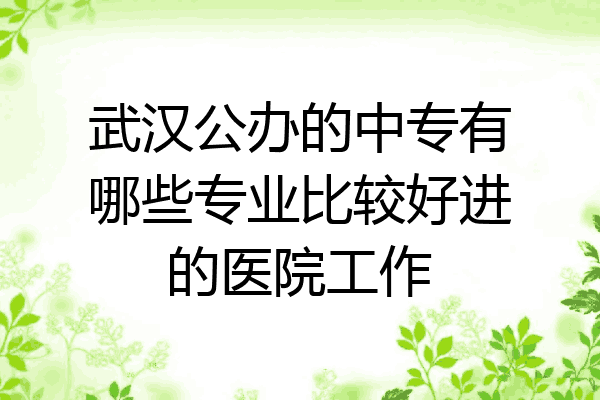 武汉公办的中专有哪些专业比较好进的医院工作