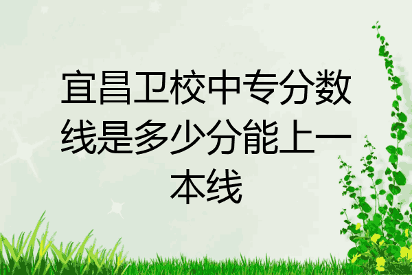 宜昌卫校中专分数线是多少分能上一本线