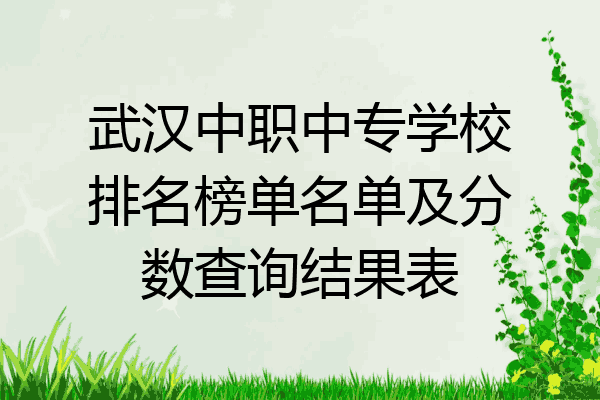 武汉中职中专学校排名榜单名单及分数查询结果表