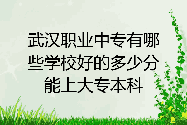 武汉职业中专有哪些学校好的多少分能上大专本科