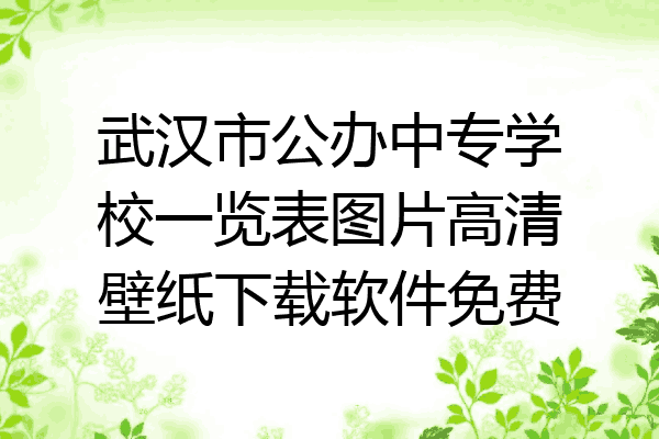 武汉市公办中专学校一览表图片高清壁纸下载软件免费
