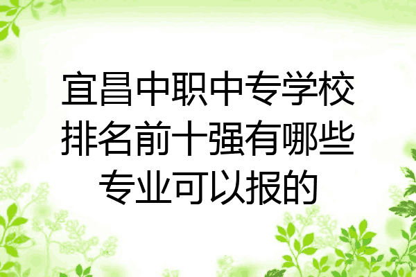 宜昌中职中专学校排名前十强有哪些专业可以报的