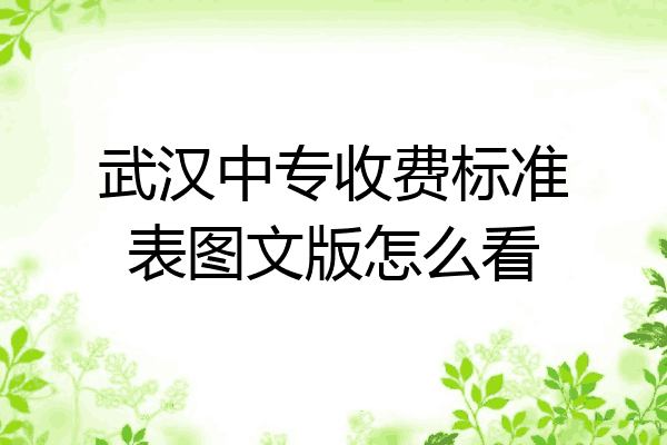 武汉中专收费标准表图文版怎么看