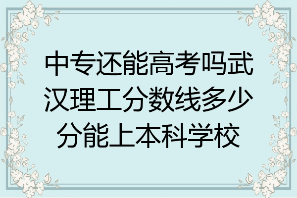 中专还能高考吗武汉理工分数线多少分能上本科学校