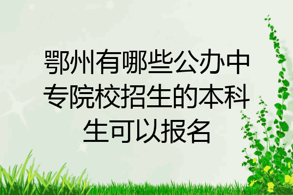 鄂州有哪些公办中专院校招生的本科生可以报名