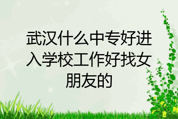 武汉什么中专好进入学校工作好找女朋友的
